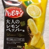 亀田製菓 ハッピーターン 期間限定 大人のレモンペッパー