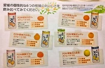 POM 愛媛の柑橘ジュース ちょっと味くらべセット