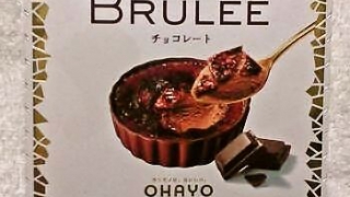 オハヨー乳業 BRULEE(ブリュレ) チョコレート