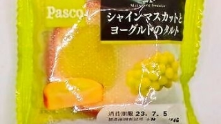 敷島製パン Pasco「満たされスイーツ シャインマスカットとヨーグルトのタルト」
