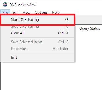 Windows用フリーソフト『DNSLookupView』のスクリーンショットです。