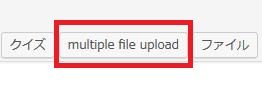 WordPressプラグイン「Drag and Drop Multiple File Upload」のスクリーンショット