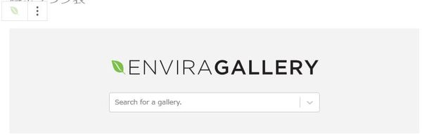WordPressプラグイン「Envira Photo Gallery」のスクリーンショット