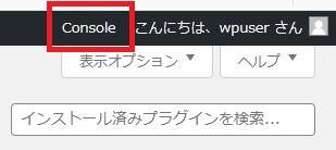 WordPressプラグイン「WP Console」の導入から日本語化・使い方と設定項目を解説している画像